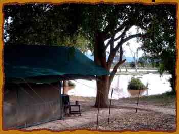 Tarhi Camp, Tsavo Ost