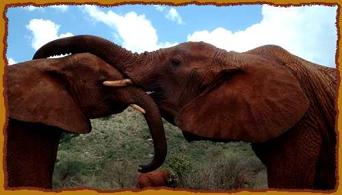 Emely und Aitong, Tsavo Ost National Park