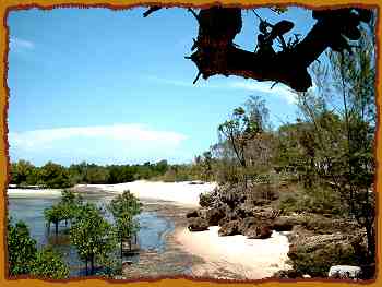 Mwazaro Beach