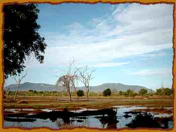 Tarhi Camp, Tsavo Ost