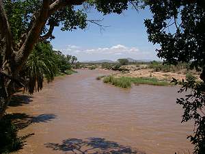 Shaba Sarova Lodge, Ewaso Ngiro