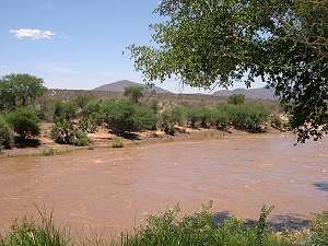 Shaba Sarova Lodge, Ewaso Ngiro