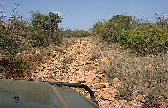 Fahrt zum Observation Hill, Tsavo Ost