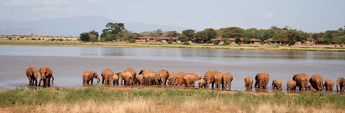 Aruba Damm - Tsavo Ost