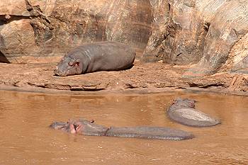 Crocodil Point - Tsavo Ost National Park