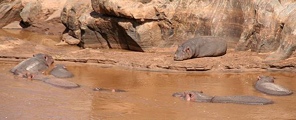 Crocodil Point - Tsavo Ost National Park