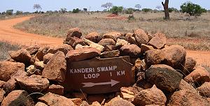 Kanderi Sumpf - Tsavo Ost National Park