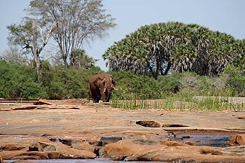 Lugard Falls - Tsavo Ost National Park