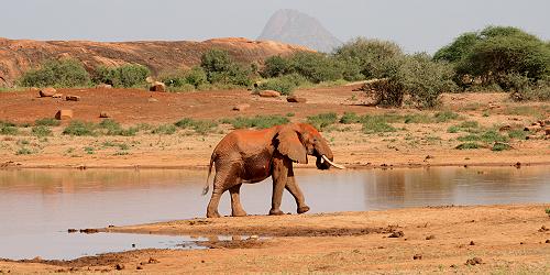 Mudanda Rock - Tsavo Ost National Park