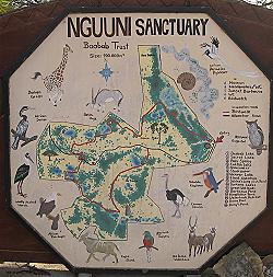 Nguuni Sanctuary