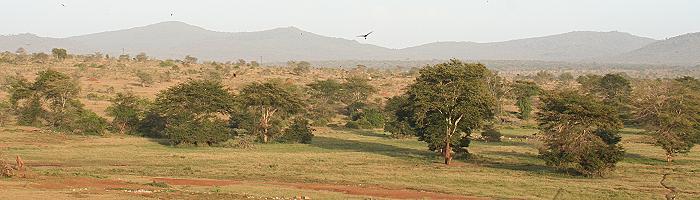 Taita Hill Game Sanctuary