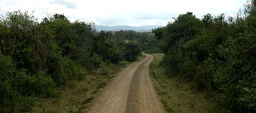 The Ark - Aberdare National Park