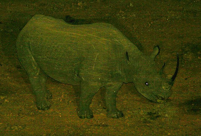 Spitzmaulnashorn, The Ark - Aberdare National Park
