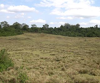 The Ark - Aberdare National Park