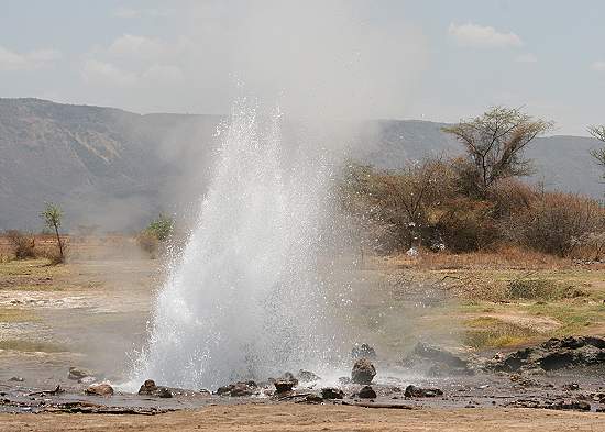 Lake Bogoria