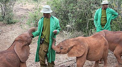 by Daphne Sheldrick