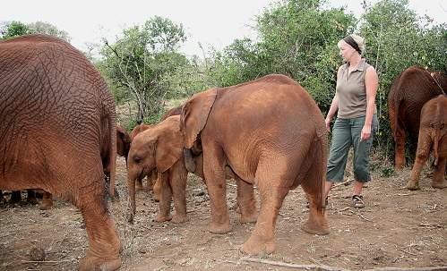 by Daphne Sheldrick