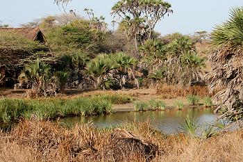 Nguuni Game Sanctuary