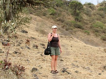 Sundbird Lodge, Lake Elementaita