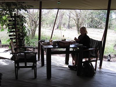 Mara Bush Camp