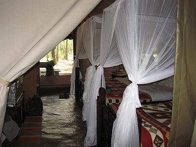 Mara Bush Camp