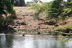 Mizuma Springs, Tsavo West