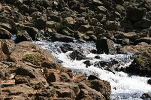Mizuma Springs, Tsavo West