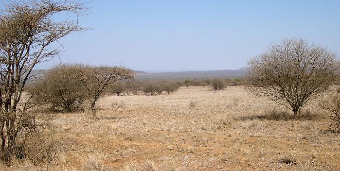 Tsavo West National Park