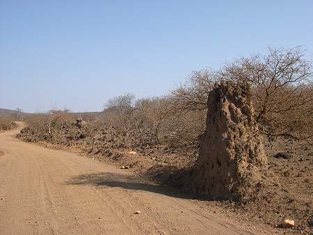 Tsavo West National Park