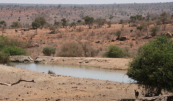 Tsavo West National Park
