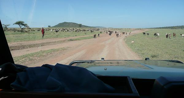 Masai Mara