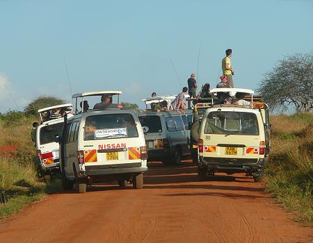 Tsavo Safari