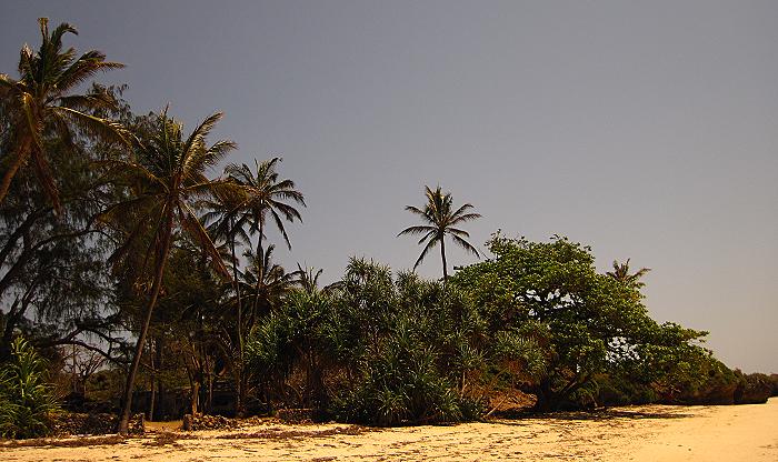 Kenya North Coast