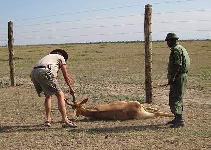 Ol Pejeta Conservancy