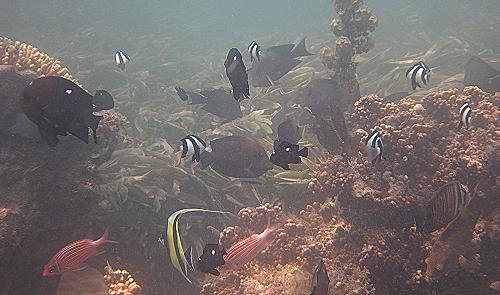 Kenya North Coast