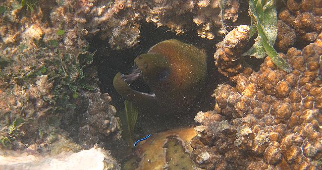 Kenya North Coast