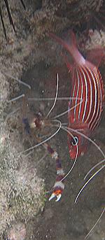 Kenya North Coast