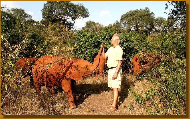 Elefanten Waisen bei Daphne Sheldrick