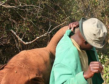 David Sheldrick Wildlife Trust