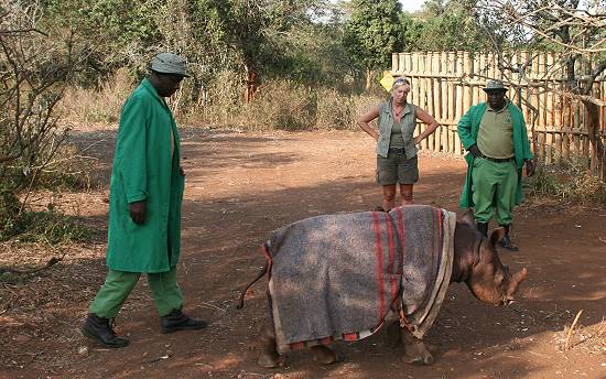 David Sheldrick Wildlife Trust