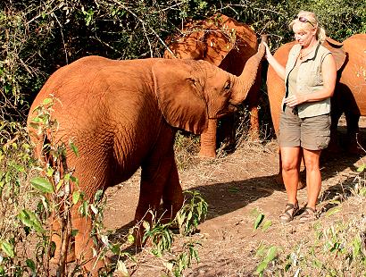 Petra Reinecke and elephant orphans