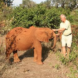 Jörg Reinecke and elephant orphans