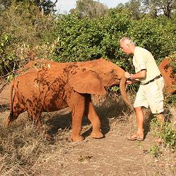 Jörg Reinecke and elephant orphans
