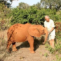 Jörg Reinecke and elephant orphans