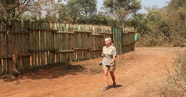 Petra Reinecke beim David Sheldrick Wildlife Service