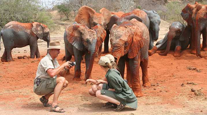 Waisenelefanten im Tsavo - Ithumba