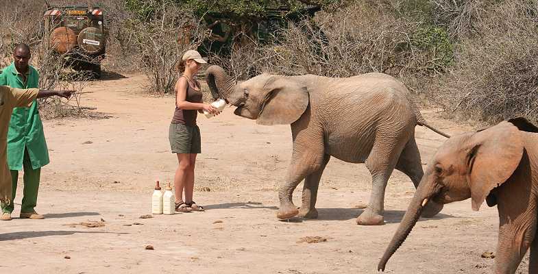 Waisenelefanten im Tsavo - Ithumba