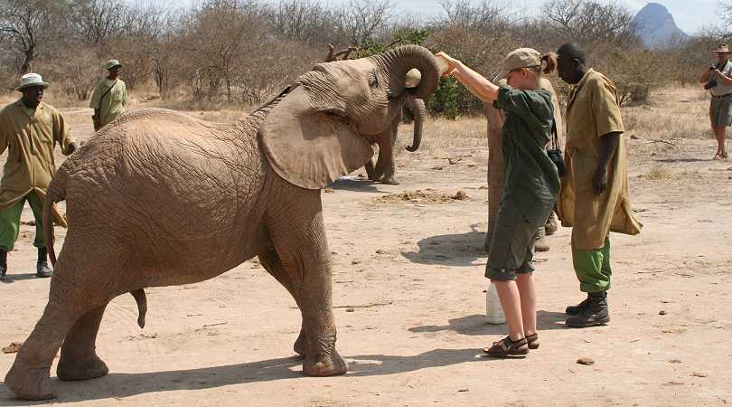 Waisenelefanten im Tsavo - Ithumba