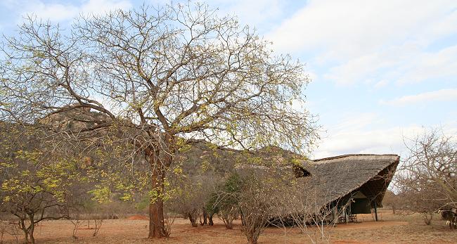 Ithumba Camp, Tsavo East