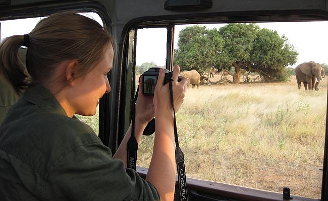 Pixi auf Safari
